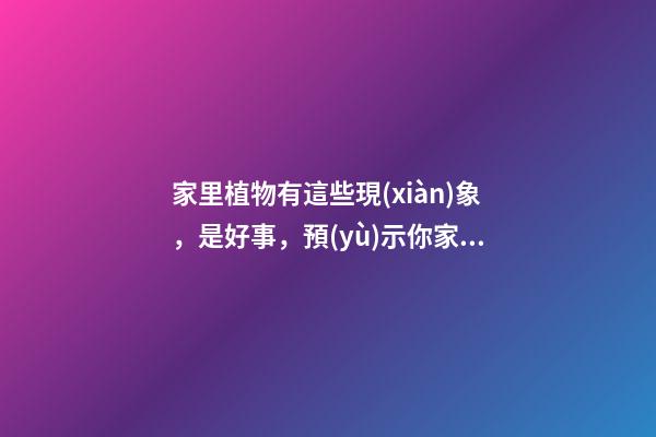 家里植物有這些現(xiàn)象，是好事，預(yù)示你家要發(fā)大財(cái)了！